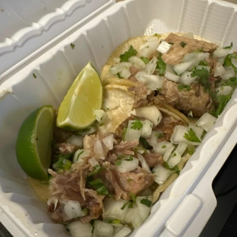 Indulge in Our Carnitas